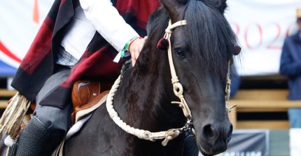 San Clemente recibe el Clasificatorio Zona Centro: Programa, entradas y dónde ver las corridas