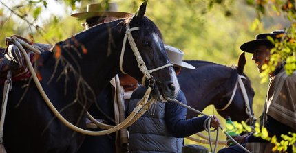 Estas son las colleras que correrán el Clasificatorio Zona Centro 2026