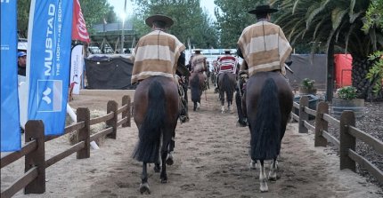 Un resumen con atajadas de las 44 colleras premaiadas en el Clasificatorio Zona Sur 2026