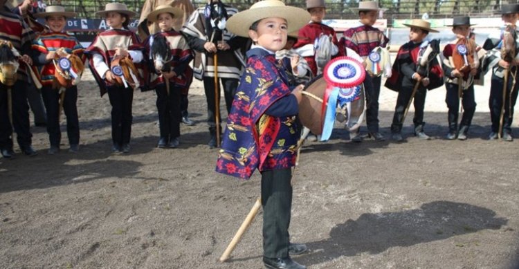 Organizadores del Clasificatorio de Melipilla presentaron las bases de la Serie Promocional Caballito de Palo