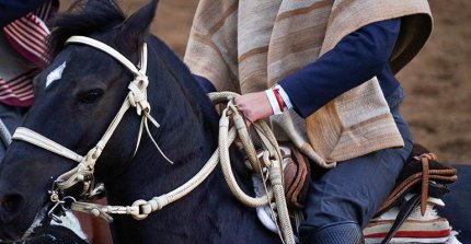 Ferochi celebrará el "Día del Socio y la Familia Corralera" en la apertura del 77° Campeonato Nacional de Rodeo