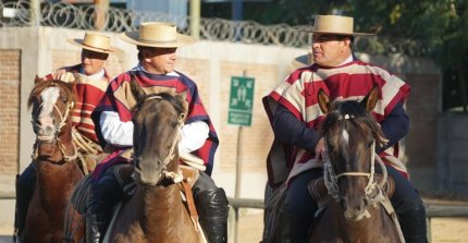 A las 7:30 se corre la Serie Criaderos del Clasificatorio Zona Norte de Melipilla