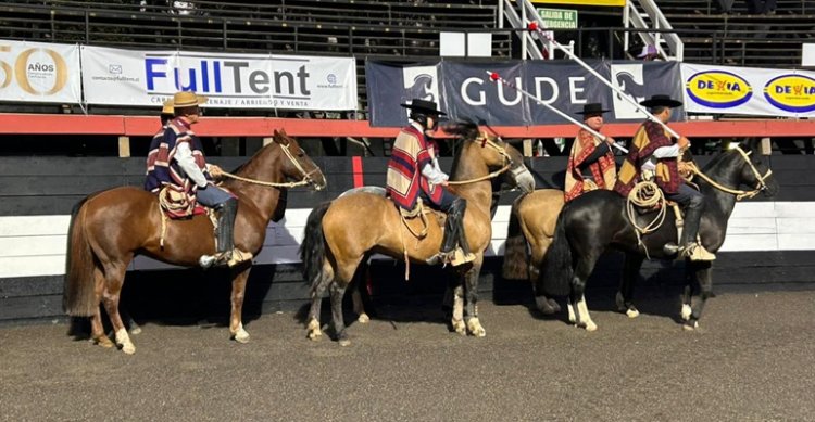 Asociación Santiago Sur lidera el listado de colleras premiadas en Melipilla