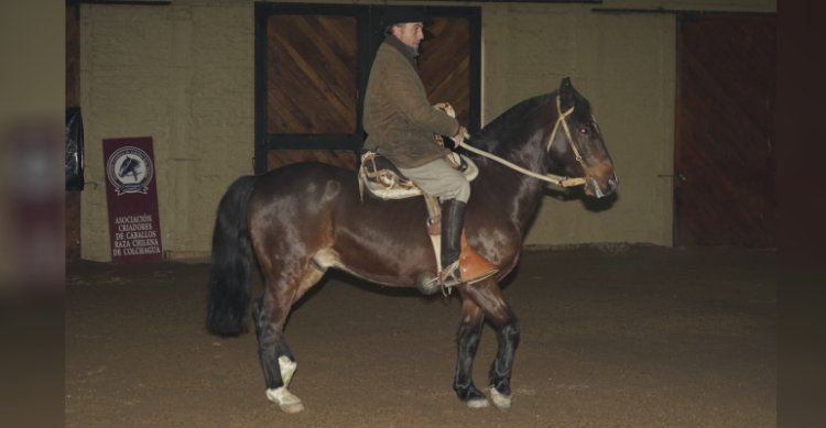 Pruebas Funcionales: Luis Bustos Venegas y Rodrigo Castell expondrán en Clínica de Rienda Sin Fronteras