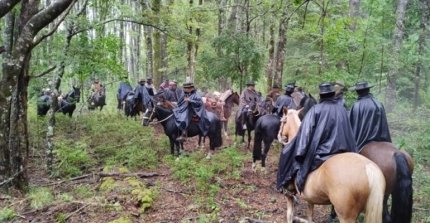 Criadores de Cautín preparan otra edición de su cabalgata familiar