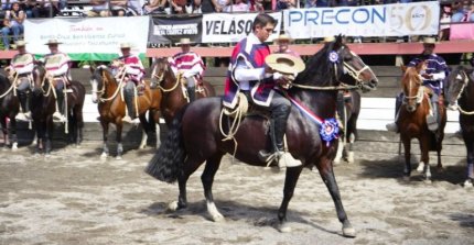 Un resumen de las 44 colleras premiadas en Melipilla 2026