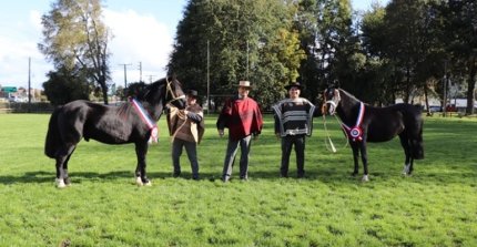 Criadores de Cautín también tienen programada su Exposición de Otoño en abril