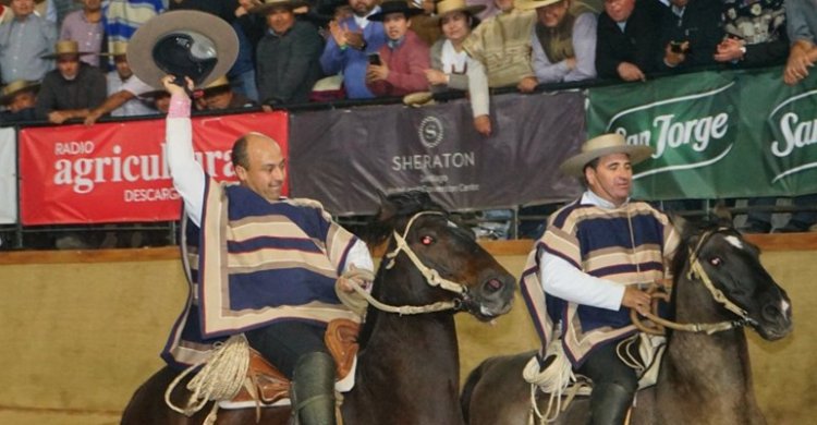 App Caballo Chileno: Genealogía y campañas para seguir el Champion de Chile