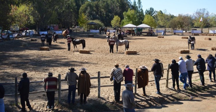 Criadores de Cauquenes invitan a participar en su exposición de abril