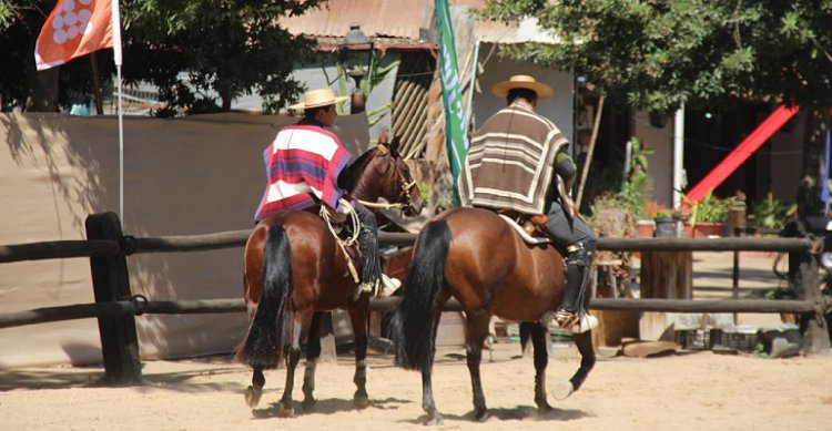 En la Monumental de Rancagua ya se vive la Fiesta de los Campos Chilenos