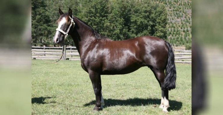 Maquena Juerga, la partida de una campeona que marcó época