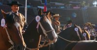 El rodeo femenino "abrió los fuegos" del 77° Campeonato Nacional de Rodeo