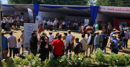 Delegado y Favorita protagonizaron habitual muestra de la Federación de Criadores en Rancagua