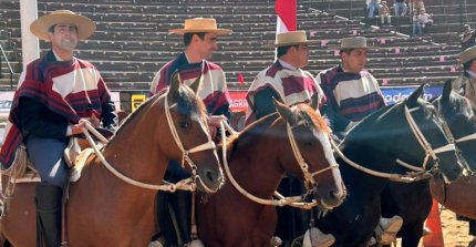 Talca Oriente lidera el listado de asociaciones con colleras premiadas para la Final de Chile