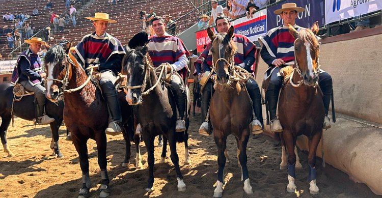 El Famoso fue atendido por equipo veterinario en la medialuna y fue trasladado a clínica especializada
