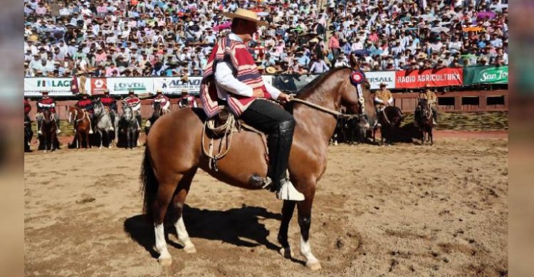 Alucarpa Figurita se quedó con el Sello de Raza del 77° Campeonato Nacional