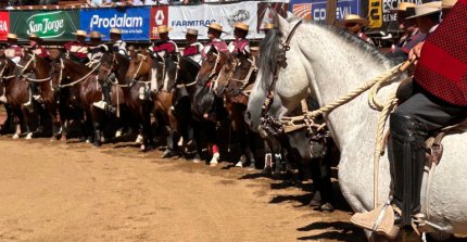 Positivo balance del delegado, Mauricio Bernier: "A mi juicio fue un pleno éxito"
