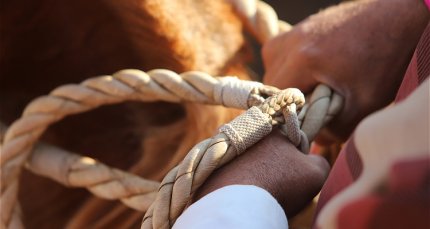 Club Salamanca tiene armada su tradicional fiesta corralera de Semana Santa