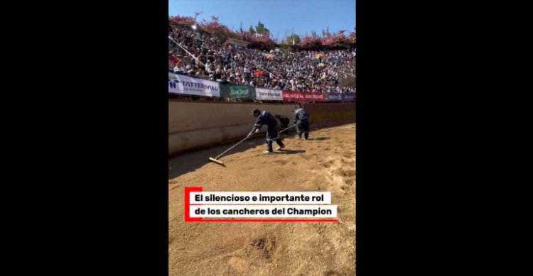 [Video] El silencioso trabajo de los 