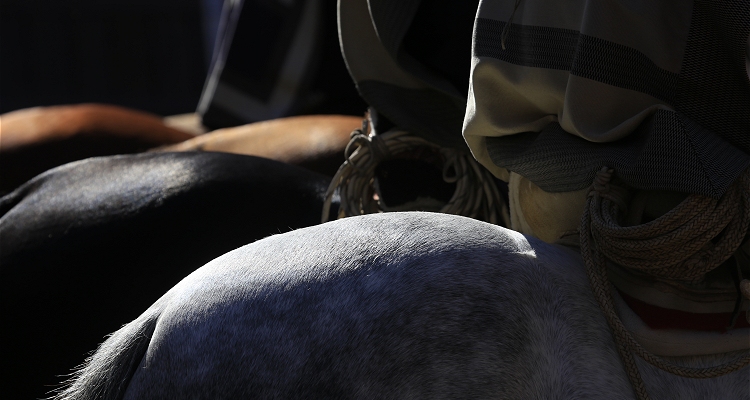 Programa, entradas y transmisión: Así se vivirá el Nacional Universitario en Curicó