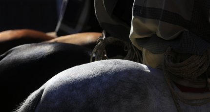 Programa, entradas y transmisión: Así se vivirá el Nacional Universitario en Curicó