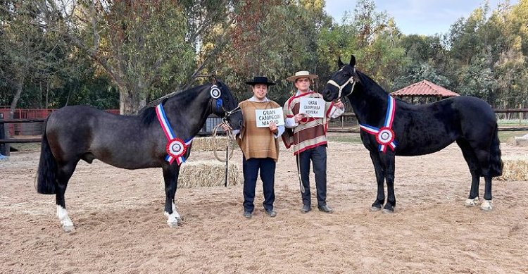 Cacerola y Normando: Los potentes campeones de la Expo Cauquenes