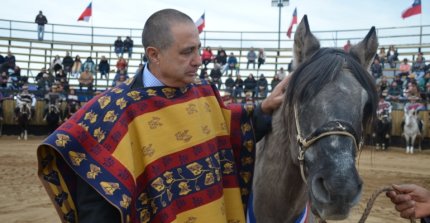 El homenaje al potro Blanco y Negro Tamarugo