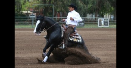 Criadero Los Cóndores será el escenario de la Final de Chile Reining