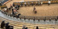Rodrigo Castell y Luis Bustos Venegas realizaron exitosa Clínica de Rienda Sin Fronteras