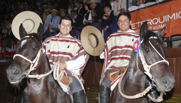 Campeones de Chile correrán dos colleras del Criadero Santa Bárbara de Los Guaicos