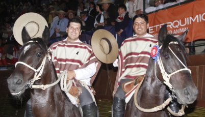 Campeones de Chile correrán dos colleras del Criadero Santa Bárbara de Los Guaicos