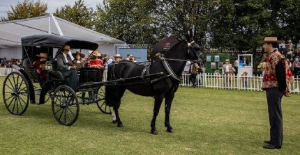 Club de Polo San Cristóbal acogió la Copa "Joaquín Barros Fontaine" de Enganche Ecuestre