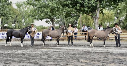 Criadores de Bío Bío apuntan a su asamblea para planificar la temporada