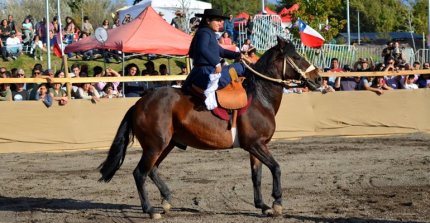 Escuadra Amazonas de Viejo Maipo tuvo lucidas presentaciones en Talagante