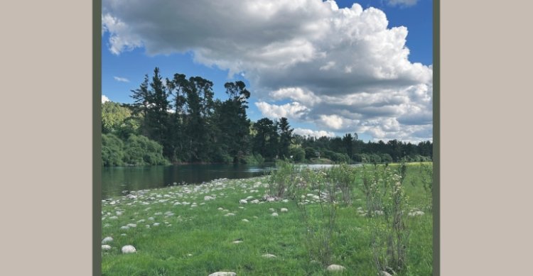 Criaderos Aguas Claras y Kila Pangui salen a remate con destacados ejemplares