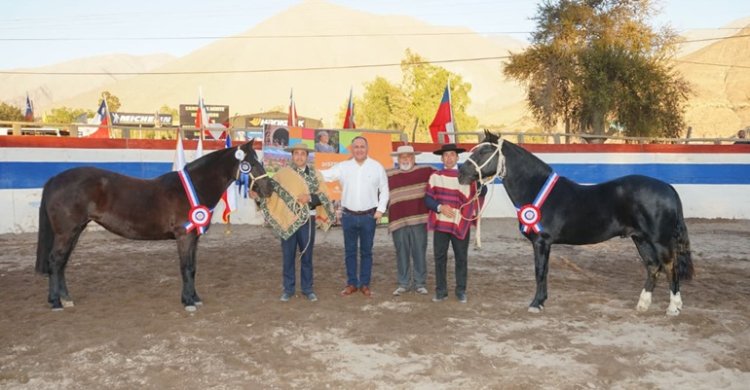 Cocopita y Condimento triunfaron en la Expo Coquimbo realizada en Vicuña