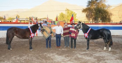 Cocopita y Condimento triunfaron en la Expo Coquimbo realizada en Vicuña