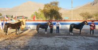 Los Grandes Premios de la Expo Coquimbo 2026