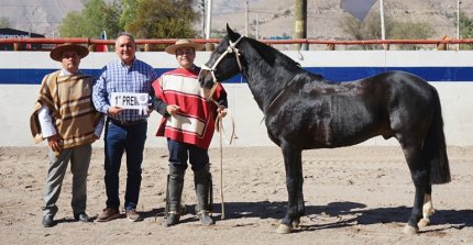 Los premiados por categoría de la Expo Coquimbo 2026