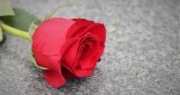 Condolencias para la Familia de Artemio Correa Paredes