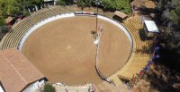 Asociación Cauquenes organizará la Final del Rodeos Para Criadores 2026