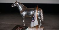 Criadores: Consejo Superior se desarrolló con la disposición de trabajar en conjunto por el Caballo Chileno