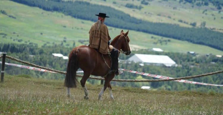 Criadores y corraleros de Aysén realizarán histórica premiación en conjunto